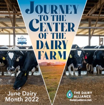 2022 June is Dairy Month image. Holstien cows in dairy barn behind fencing rails, one is stretching under to eat their feed.  Overlayed with this year's theme "Journey to the Center of the Dairy Farm".  The Dairy Alliance logo in bottom right corner with their website: thediaryalliance.com.